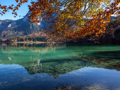 Herrliche Farben im Herbst am Alpsee